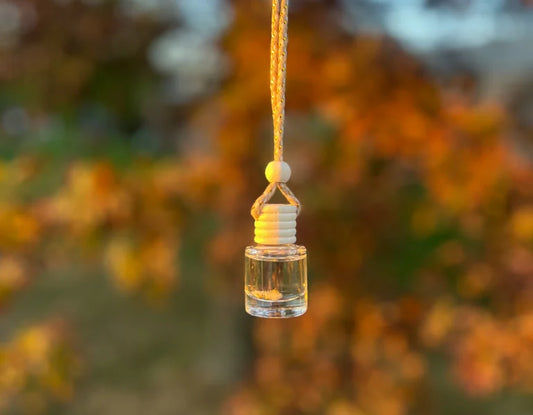 Hanging Air Freshener Diffusers